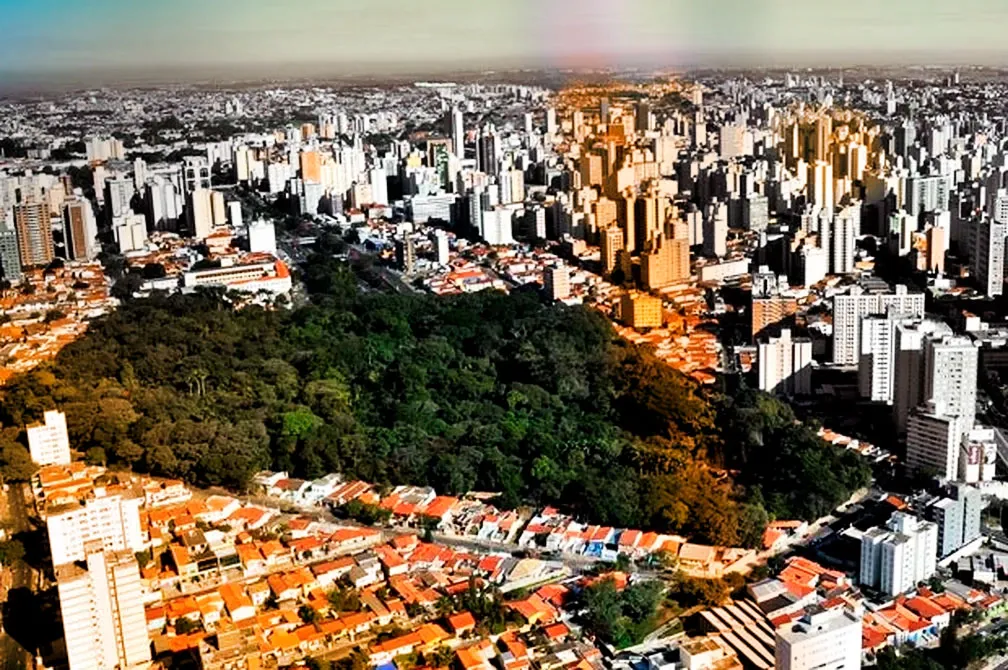Corretora Cleusinha - Por que a cidade é destaque no mercado?